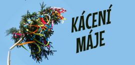 Kácení Májky - Hostinec u Báby Lišků, Semice