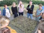5d2dab5a51272.jpg